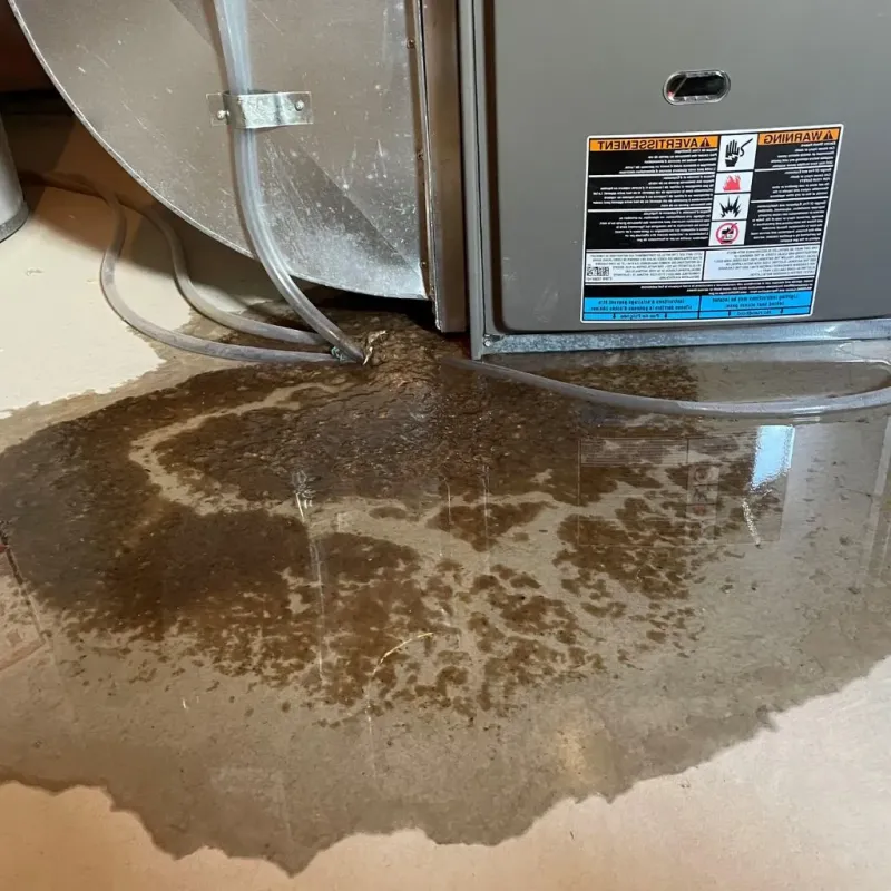 Pipe Burst and Leak Restoration in Bellevue, PA